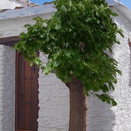 Willa Casa El Rincon Del Angel Bubión Pokój zdjęcie